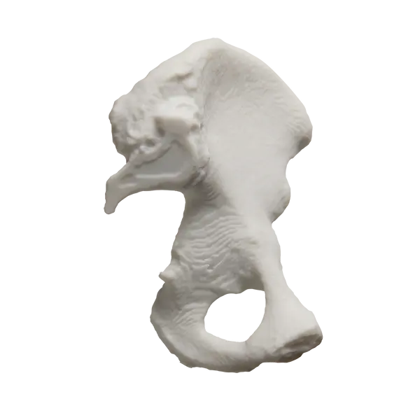 Formlabs 通用樹脂 V5 系列 Formlabs