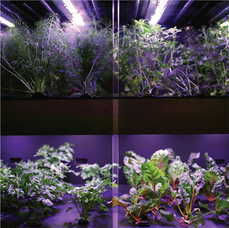 【3D列印快訊】Farmshelf：城市農場的3D列印訂製零件