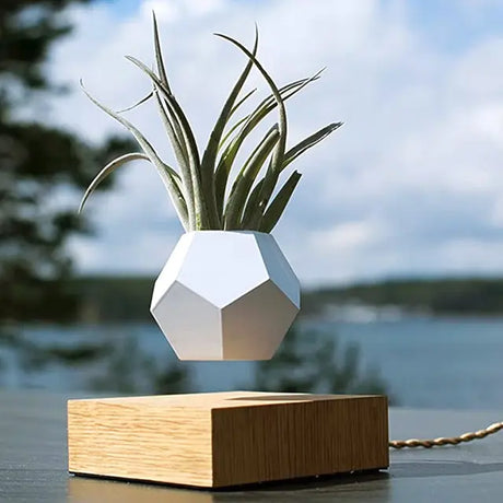 【3D列印應用】家有磁浮藝術品？漂浮盆栽超吸睛！