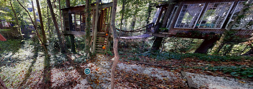 3D環景掃描Airbnb 最受歡迎的樹屋